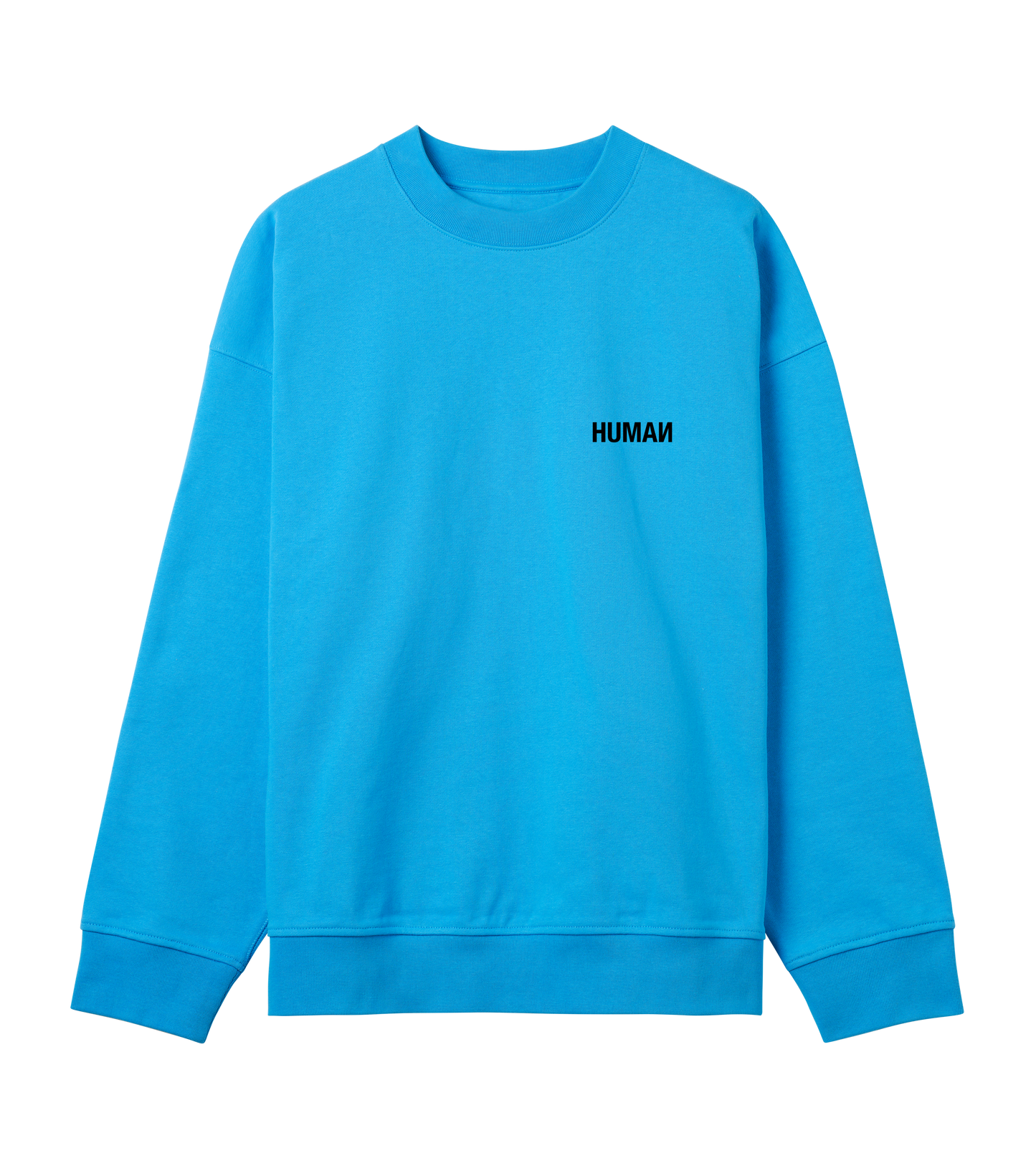 Panther Boxy Sweatshirt - Turquoise